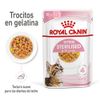 Royal Canin FHN Sterilised Kitten en gelatina 12 x 85 g