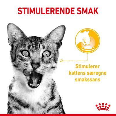 Royal Canin Sensory Smell Taste Feel