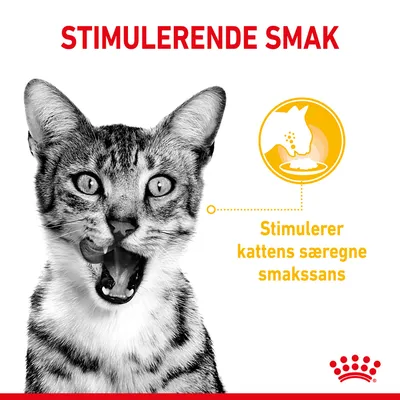 Royal Canin Sensory Smell Taste Feel