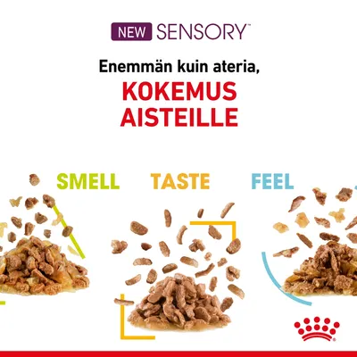 NEW SENSORY. Enemmän kuin ateria, KOKEMUS AISTEILLE. SMELL, TASTE, FEEL. Kolme annosta kastikeruokaa, korostettu tuoksu, maku ja tuntuma. Royal Canin -logo alareunassa.