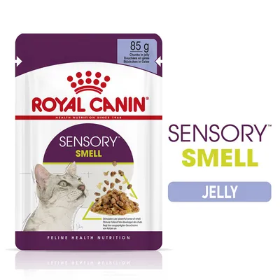 ROYAL CANIN SENSORY SMELL, 85 g, kawałki w galaretce. Opakowanie z wizerunkiem kota i karmy. Napis: SENSORY SMELL JELLY. Feline Health Nutrition. ROYAL CANIN SENSORY SMELL, 85 g, kawałki w galaretce. Opakowanie z wizerunkiem kota i karmy. Napis: SENSORY SMELL JELLY. Feline Health Nutrition.