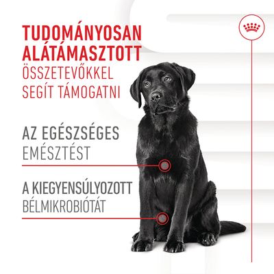 Tudományosan alátámasztott összetevőkkel segít támogatni az egészséges emésztést, a kiegyensúlyozott bélmikrobiótát. Royal Canin márkajelzés látható.