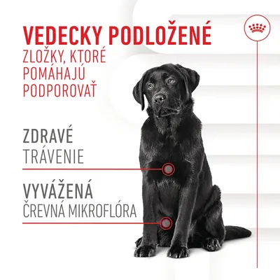 Vedecky podložené zložky, ktoré pomáhajú podporovať zdravé trávenie a vyváženú črevnú mikroflóru. Obrázok čierneho psa, Royal Canin v pravom hornom rohu.