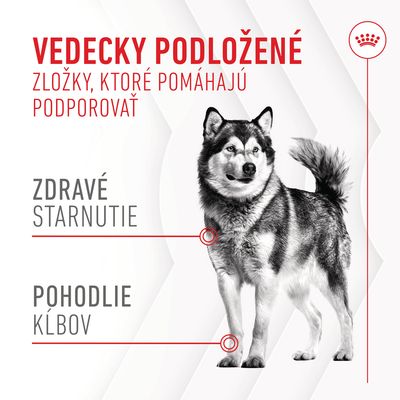 Vedecky podložené zložky, ktoré pomáhajú podporovať zdravé starnutie a pohodlie kĺbov. Text zvýraznený pri obrázku psa.