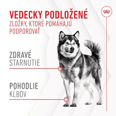Vedecky podložené zložky, ktoré pomáhajú podporovať zdravé starnutie a pohodlie kĺbov. Text zvýraznený pri obrázku psa.