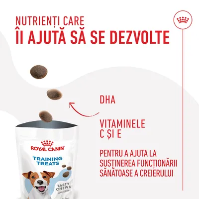 Royal Canin Training Treats. Nutrienți care îi ajută să se dezvolte: DHA, vitaminele C și E pentru a ajuta la susținerea funcționării sănătoase a creierului.