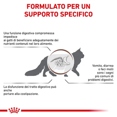 FORMULATO PER UN SUPPORTO SPECIFICO. Una funzione digestiva compromessa impedisce ai gatti di beneficiare dei nutrienti. Vomito, diarrea o feci molli sono segni comuni. Può portare a costipazione.