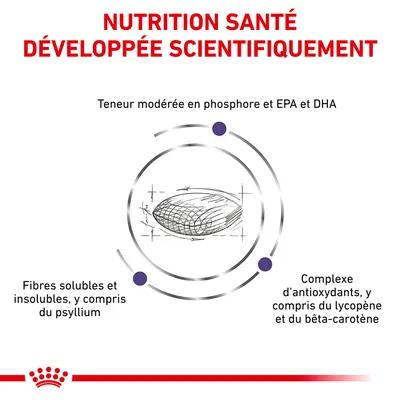 NUTRITION SANTÉ DÉVELOPPÉE SCIENTIFIQUEMENT. Teneur modérée en phosphore et EPA et DHA. Fibres solubles et insolubles, y compris du psyllium. Complexe d’antioxydants, lycopène, bêta-carotène.