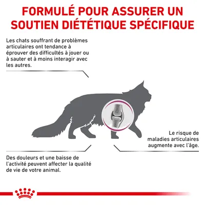 FORMULÉ POUR ASSURER UN SOUTIEN DIÉTÉTIQUE SPÉCIFIQUE. Les chats souffrant de problèmes articulaires ont tendance à éprouver des difficultés à jouer ou à sauter et à moins interagir avec les autres. Des douleurs et une baisse de l’activité peuvent affecter la qualité de vie de votre animal. Le risque de maladies articulaires augmente avec l’âge.