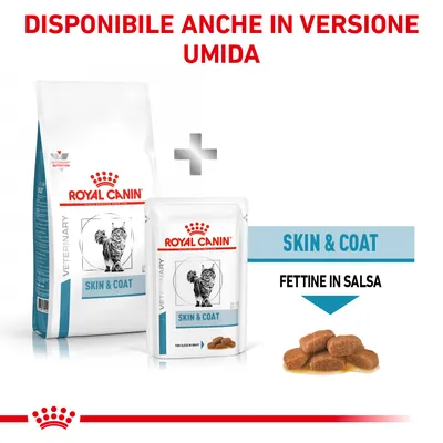 Royal Canin Skin & Coat hrana za mačke, na voljo kot suha in mokra hrana. Mokra hrana: rezine v omaki.