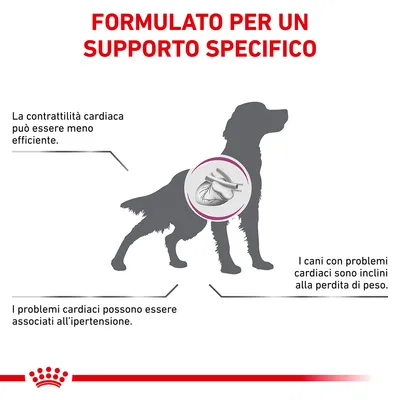 FORMULATO PER UN SUPPORTO SPECIFICO. La contrattilità cardiaca può essere meno efficiente. I problemi cardiaci possono essere associati all'ipertensione. I cani con problemi cardiaci sono inclini alla perdita di peso.