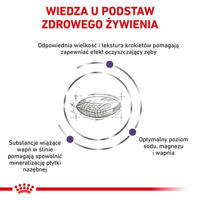 Wiedza u podstaw zdrowego żywienia. Odpowiednia wielkość i tekstura krokietów, substancje wiążące wapń w ślinie, optymalny poziom sodu, magnezu i wapnia.