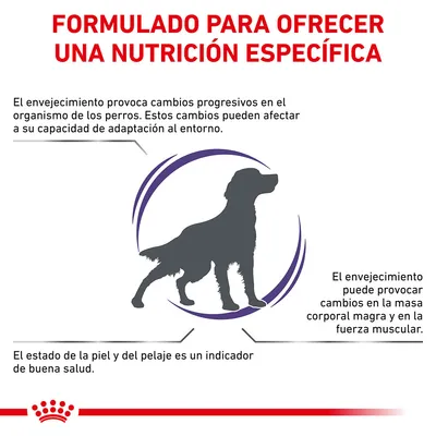 Formulado para ofrecer una nutrición específica. El envejecimiento provoca cambios en perros, afecta adaptación, masa corporal y fuerza muscular. Estado de piel y pelaje indica salud.