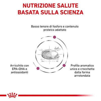 Nutrizione salute basata sulla scienza. Basso tenore di fosforo e contenuto proteico adattato. Arricchito con EPA+DHA e antiossidanti. Profilo aromatico unico e crocchetta arrotondata.