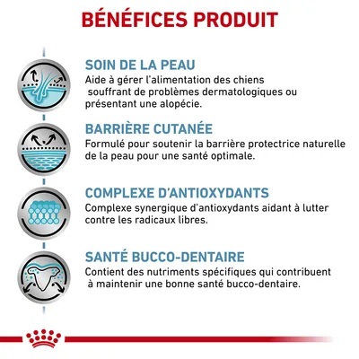 Bénéfices produit : soin de la peau, barrière cutanée, complexe d’antioxydants, santé bucco-dentaire. Textes explicatifs visibles pour chaque bénéfice.