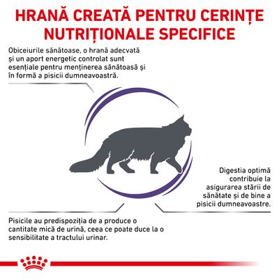 HRANĂ CREATĂ PENTRU CERINȚE NUTRIȚIONALE SPECIFICE. Obiceiuri sănătoase, hrană adecvată și aport energetic controlat pentru pisici. Digestie optimă și sensibilitate a tractului urinar.