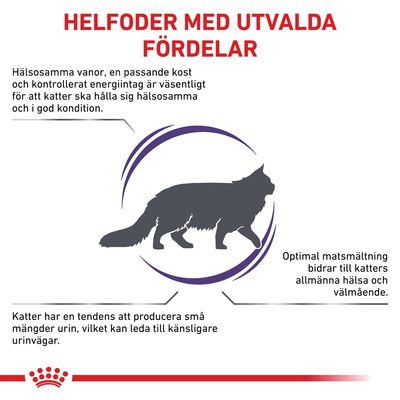 Helfoder med utvalda fördelar: hälsosamma vanor och kost, optimal matsmältning för katters välmående, små urinmängder kan ge känsligare urinvägar. Illustration av katt.