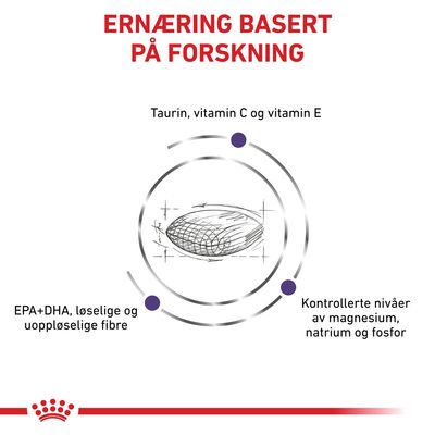 Royal Canin Expert Feline Adult