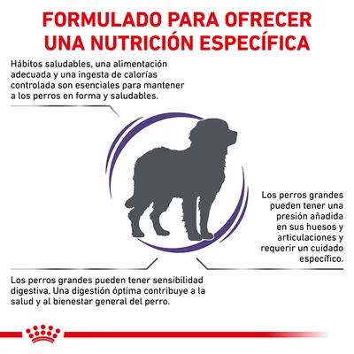 Formulado para ofrecer una nutrición específica. Hábitos saludables y alimentación adecuada ayudan a mantener perros en forma. Perros grandes requieren cuidado especial y óptima digestión.