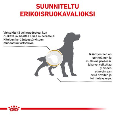 SUUNNITELTU ERIKOISRUOKAVALIOKSI. Virtsakiteitä voi muodostua, kun ruokavalio sisältää liikaa mineraaleja. Ikääntyminen voi vaikuttaa elinvoimaan sekä aivoihin ja toimintakykyyn.