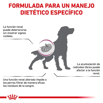 Formulada para un manejo dietético específico. La función renal puede deteriorarse sin mostrar signos visibles. Acumulación de radicales libres afecta la función renal. Filtrado ineficaz de residuos.