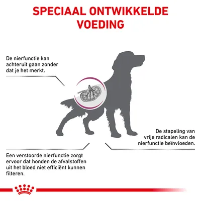 Speciaal ontwikkelde voeding. De nierfunctie kan achteruit gaan zonder dat je het merkt. Stapeling van vrije radicalen kan de nierfunctie beïnvloeden. Verstoorde nierfunctie filtert afvalstoffen minder efficiënt.