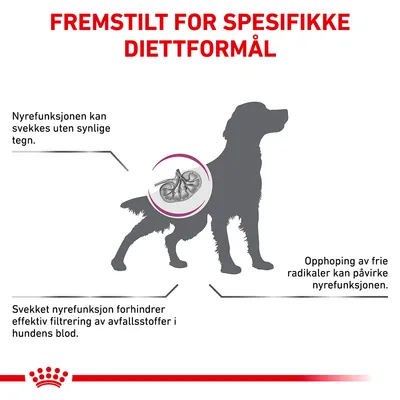 Royal Canin Veterinary Canine Early Renal