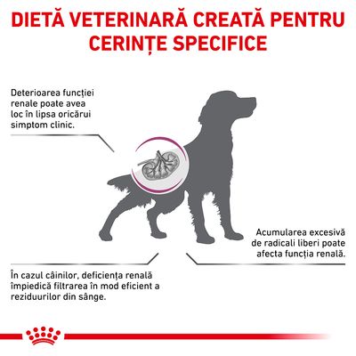 Dietă veterinară creată pentru cerințe specifice. Deteriorarea funcției renale poate avea loc fără simptome. Deficiența renală la câini împiedică filtrarea reziduurilor din sânge.