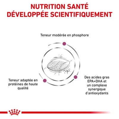 NUTRITION SANTÉ DÉVELOPPÉE SCIENTIFIQUEMENT. Teneur modérée en phosphore, teneur adaptée en protéines de haute qualité, acides gras EPA+DHA et complexe synergique d’antioxydants.