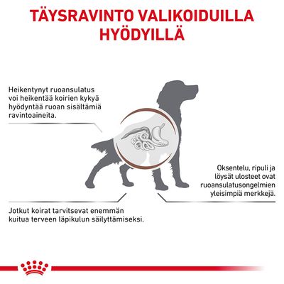 TÄYSRAVINTO VALIKOIDUILLA HYÖDYILLÄ. Heikentynyt ruoansulatus voi heikentää koirien kykyä hyödyntää ravintoaineita. Oksentelu, ripuli ja löysät ulosteet ovat yleisiä merkkejä. Jotkut tarvitsevat enemmän kuitua.