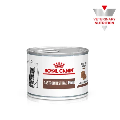 Boîte Royal Canin Gastrointestinal Kitten, texte visible : Ultra Soft Mousse, Veterinary Nutrition, image de chaton sur l’étiquette.
