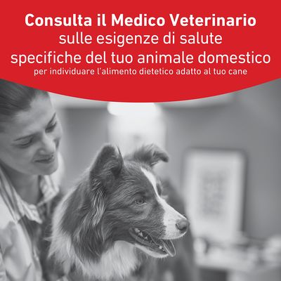 Royal Canin Veterinary Canine Glycobalance Small Dog