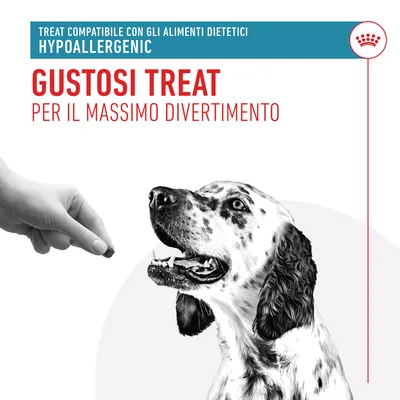 Testo: Treat compatibile con gli alimenti dietetici, hypoallergenic. Gustosi treat per il massimo divertimento. Mano che offre uno snack a un cane bianco e nero.