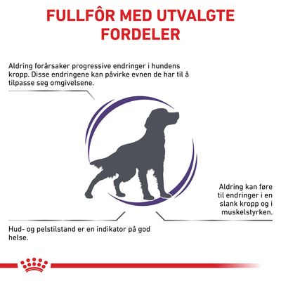 Royal Canin Expert Mature Consult Medium Hund