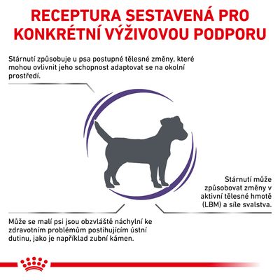 Receptura sestavená pro konkrétní výživovou podporu. Informace o stárnutí psa, změnách tělesné hmoty a svalstva, riziku zubního kamene u malých psů.