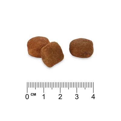 Trei crochete maro, pătrate, cu scară de măsurare în centimetri de la 0 la 4 cm dedesubt.