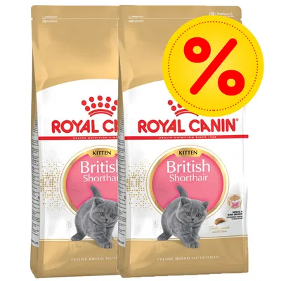 Royal Canin Kitten British Shorthair -kuivaruokapakkaus, kaksi pussia vierekkäin, keltainen alennusmerkki (%) oikeassa yläkulmassa Royal Canin Kitten British Shorthair -kuivaruokapakkaus, kaksi pussia vierekkäin, keltainen alennusmerkki (%) oikeassa yläkulmassa