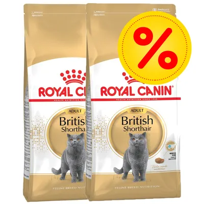 Royal Canin British Shorthair Adult -kuivaruokapakkaus, kaksi pussia vierekkäin, päällä keltainen alennusprosenttimerkki Royal Canin British Shorthair Adult -kuivaruokapakkaus, kaksi pussia vierekkäin, päällä keltainen alennusprosenttimerkki