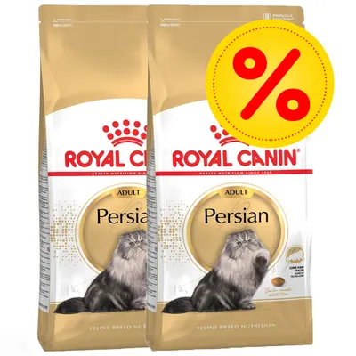 Kaksi Royal Canin Persian Adult -kuivaruokapussia kissoille, pakkauksessa persialaiskissan kuva ja suuri keltainen prosenttimerkki tarjouksen merkkinä. Kaksi Royal Canin Persian Adult -kuivaruokapussia kissoille, pakkauksessa persialaiskissan kuva ja suuri keltainen prosenttimerkki tarjouksen merkkinä.