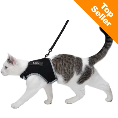 Hvid og grå kat med sort sele, tekst 'Lady' synlig på selen. Orange hjørnefelt med teksten 'Top Seller'. Selen er fastgjort til en sort line.