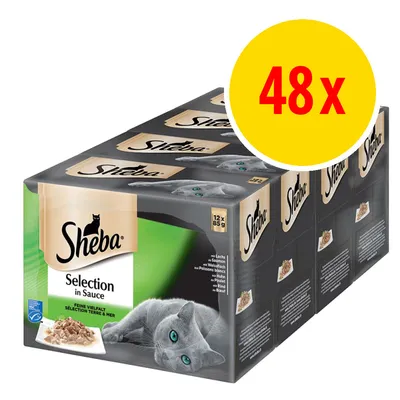 Sheba Selection in Sauce kissan märkäruoka, 48 x 85 g pakkauksessa. Näkyvissä vihreä pakkaus ja keltainen ympyrä, jossa punainen teksti '48x'. Sheba Selection in Sauce kissan märkäruoka, 48 x 85 g pakkauksessa. Näkyvissä vihreä pakkaus ja keltainen ympyrä, jossa punainen teksti '48x'.