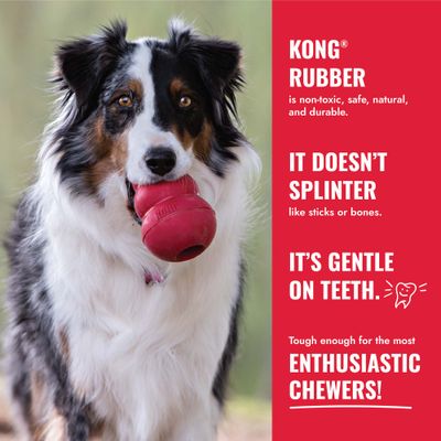 KONG Rubber: giftfri, säker, naturlig och hållbar. Splittras inte, skonsam mot tänderna, lämplig för mycket tuggaktiva djur.