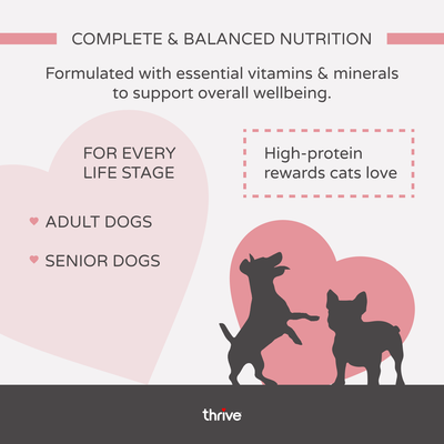 thrive dog Complete - Salmon - Saver Pack: 12 x 395g