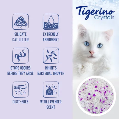 Silicate cat litter features: extremely absorbent, stops odours before they arise, inhibits bacterial growth, dust-free, with lavender scent. Image shows white and purple crystals.