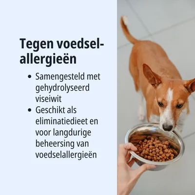 Tegen voedselallergieën. Bevat gehydrolyseerd visproteïne. Geschikt als eliminatiedieet en voor langdurige controle van voedselallergieën.