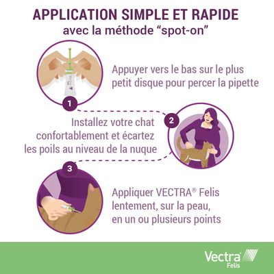 Instructions d’application VECTRA Felis : percer la pipette, installer le chat et écarter les poils à la nuque, appliquer lentement sur la peau en un ou plusieurs points.