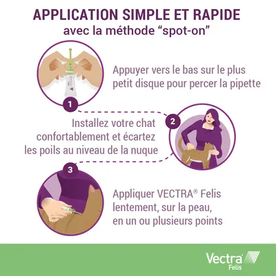 Instructions d’application VECTRA Felis : percer la pipette, installer le chat et écarter les poils à la nuque, appliquer lentement sur la peau en un ou plusieurs points.