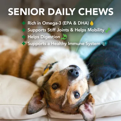 Texte en anglais : SENIOR DAILY CHEWS. Rich in Omega-3 (EPA & DHA), Supports Stiff Joints & Helps Mobility, Helps Digestion, Supports a Healthy Immune System.