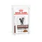 Set economic: 24 x 100 g / 85 g / 195 g Royal Canin Veterinary Hrană umedă Gastrointestinal Moderate Calorie în sos (24 x 85 g)