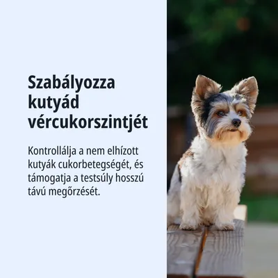 Szabályozza kutyája vércukorszintjét, kontrollálja a cukorbetegséget nem túlsúlyos kutyáknál, és támogatja a hosszú távú testsúlymegőrzést.